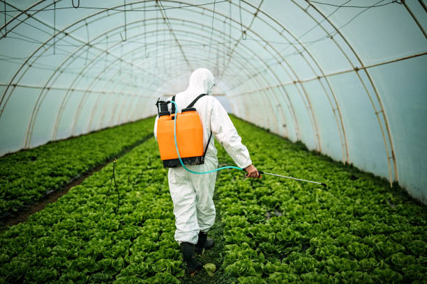 Best Pest Inspection Near Me  in Lineville, AL