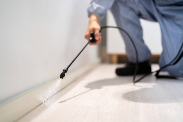 Best Pest Removal Services  in Lineville, AL