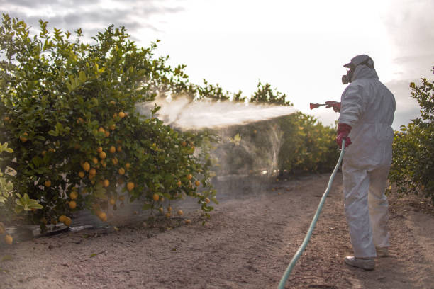 Reliable Lineville, AL Pest Control Solutions