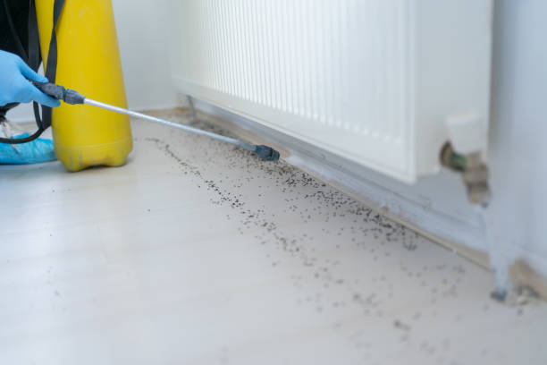 Best Commercial Pest Control Services  in Lineville, AL