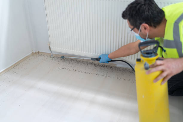 Wasp Removal Services in Lineville, AL