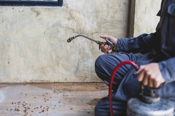 Best Residential Pest Control  in Lineville, AL